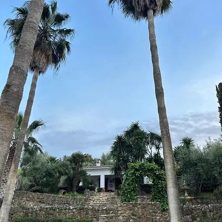 Spacious With Private Pool In Villa